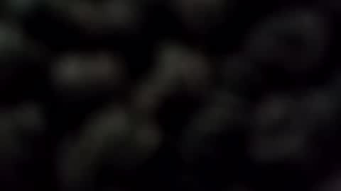 malecougar online show from December 2024 11:59:01 PM