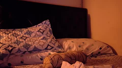 Snapshot of malekthick chatting on February 2026 07:45:02 AM malekthick online show from February 2026 07:45:02 AM