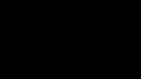 Alice Asylum online show from November 2025 03:45:02 AM