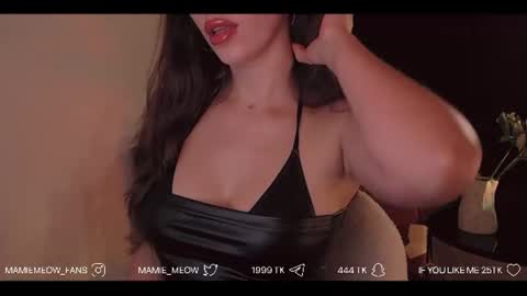 Snapshot of mamiemeow chatting on July 2026 02:21:01 PM Your Miss Alice online show from July 2026 02:21:01 PM