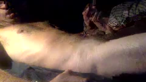 Snapshot of mandalay3 chatting on December 2025 05:12:02 AM mandalay3 online show from December 2025 05:12:02 AM