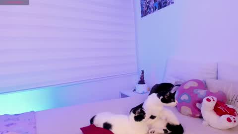   online show from February 2026 10:08:01 PM