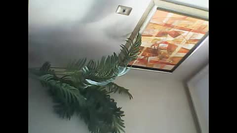 manu_481 online show from March 2025 06:54:01 PM