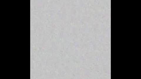 Marceline online show from January 2025 12:10:01 PM