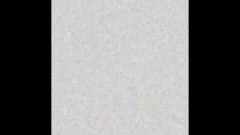 Marceline online show from November 2025 12:16:01 PM