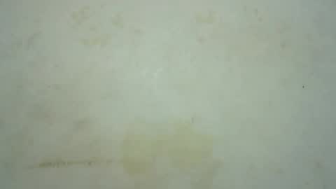 Snapshot of mariah_lovely chatting on July 2026 08:26:02 PM mariah_lovely online show from July 2026 08:26:02 PM