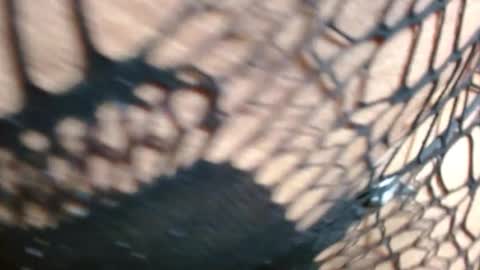 marielahorny303av online show from December 2025 02:24:02 PM