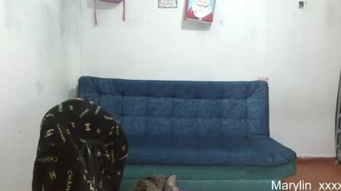 Snapshot of marilyn_xxxx chatting on June 2026 12:33:01 AM Marilyn online show from June 2026 12:33:01 AM