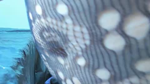 marilynwett online show from March 2026 01:54:02 AM