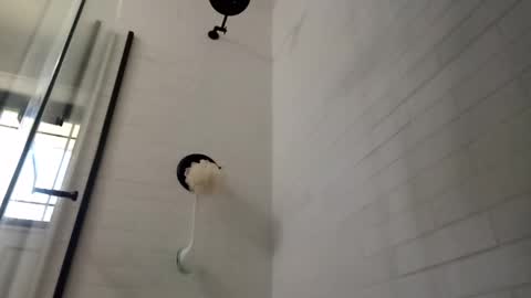 Zorro online show from December 2024 05:08:01 PM