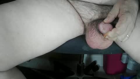 Zorro online show from January 2025 05:53:02 AM