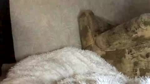 Marta online show from November 2025 07:54:01 AM