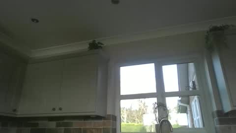 Snapshot of martinrgbxxxx chatting on February 2026 09:28:02 AM martinrgbxxxx online show from February 2026 09:28:02 AM