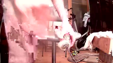 Snapshot of maschpro chatting on October 2025 05:09:02 PM maschpro online show from October 2025 05:09:02 PM