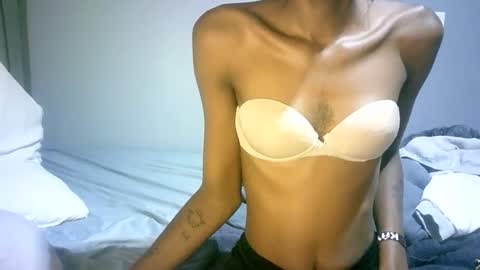 maskgang001 online show from November 2025 04:01:02 AM