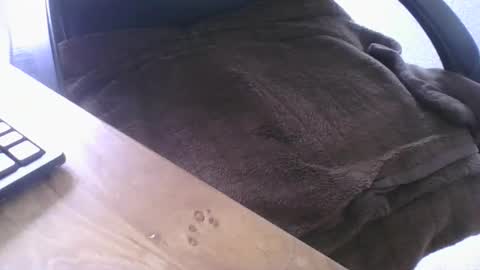 maskime59 online show from February 2026 01:45:01 PM