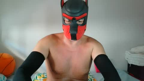 MaskPor2022 online show from July 2026 03:54:02 PM