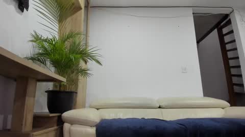 Domi online show from February 2025 11:14:02 AM