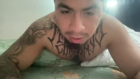    online show from August 2026 08:13:01 AM