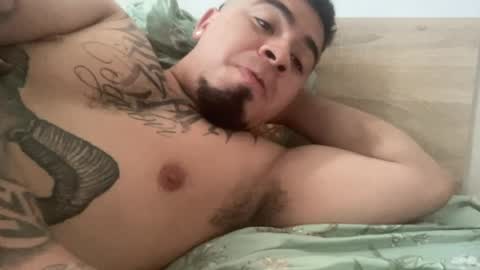    online show from August 2026 08:28:01 AM