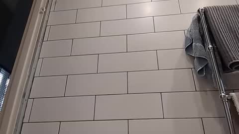 Snapshot of masterclass69er chatting on October 2025 08:15:01 AM Bob online show from October 2025 08:15:01 AM