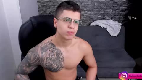 Snapshot of mathew_wolf4 chatting on February 2025 04:14:01 PM Mathew Independent model online show from February 2025 04:14:01 PM