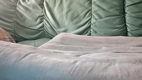 mathisdavid6757 online show from November 2025 08:56:01 AM