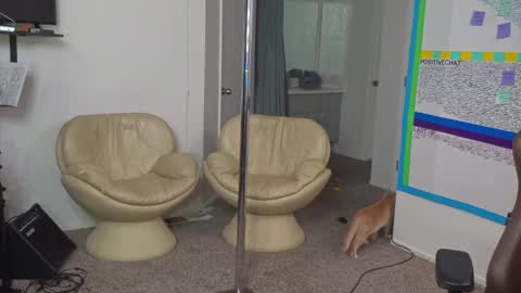 Matt Cash online show from January 2025 02:14:02 AM