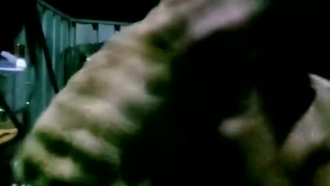 mattlesnake_101 online show from April 2026 05:50:02 PM