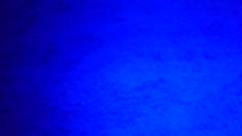 Snapshot of mauriciano2018 chatting on December 2024 08:22:02 AM Ignacio online show from December 2024 08:22:02 AM