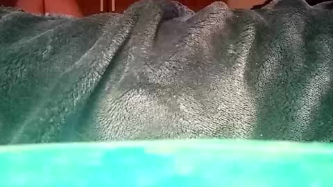 Snapshot of mauriciano2018 chatting on January 2025 01:37:02 PM Ignacio online show from January 2025 01:37:02 PM