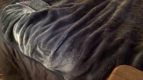 Snapshot of mauriciano2018 chatting on October 2025 03:59:01 AM Ignacio online show from October 2025 03:59:01 AM