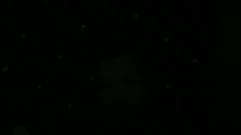 Snapshot of maurodcali chatting on June 2026 02:02:02 AM maurodcali online show from June 2026 02:02:02 AM