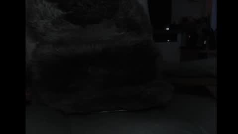 mav1962 online show from April 2026 06:05:01 PM