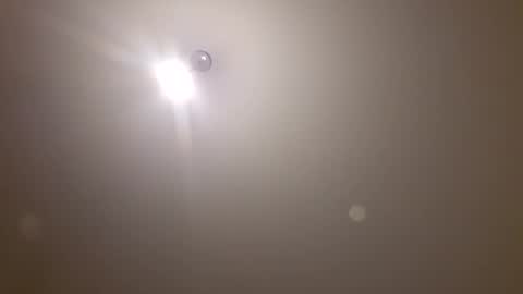 max_0737 online show from December 2024 02:22:02 PM