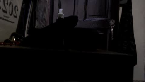 maximotorricelli online show from January 2025 09:47:01 PM