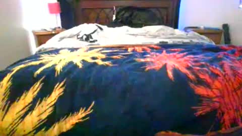 Max online show from February 2026 08:19:01 AM