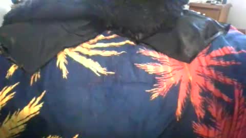 Max online show from March 2026 01:02:02 AM