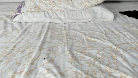 Maybelline69 online show from November 2025 02:23:02 AM