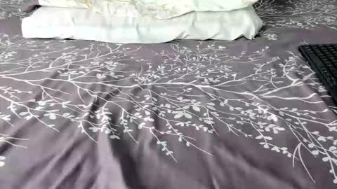 Snapshot of maybelline_666 chatting on February 2026 08:45:02 PM Maybelline69 online show from February 2026 08:45:02 PM