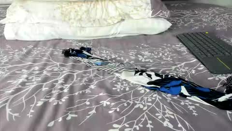 Snapshot of maybelline_666 chatting on March 2026 08:26:01 PM Maybelline69 online show from March 2026 08:26:01 PM