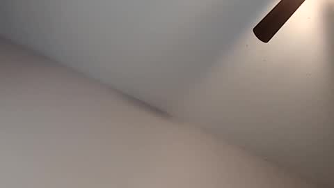 Jizzy online show from February 2026 03:30:02 PM