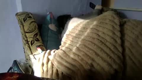 Oltereodora-lima online show from January 2025 08:40:02 AM