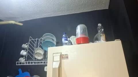 Megan and sophi online show from November 2025 03:39:02 AM