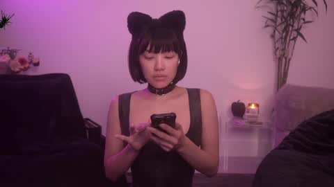  for more 3 online show from October 2025 02:29:01 AM