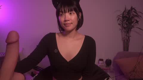  for more 3 online show from October 2025 02:33:01 AM