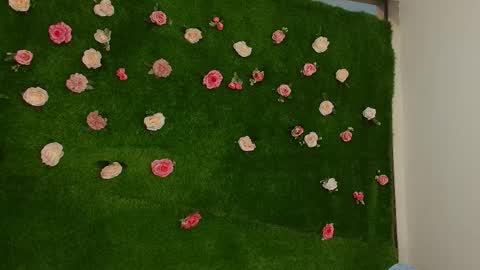 megatitts_ online show from April 2026 01:41:01 PM