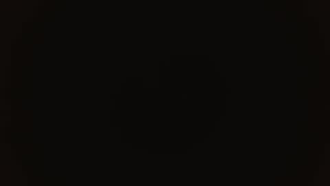 MELANI online show from November 2025 02:29:02 PM