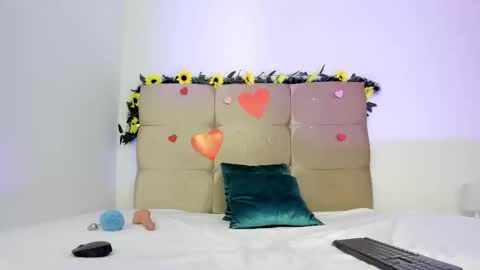 Snapshot of melaniross chatting on February 2025 03:32:02 PM Meli online show from February 2025 03:32:02 PM