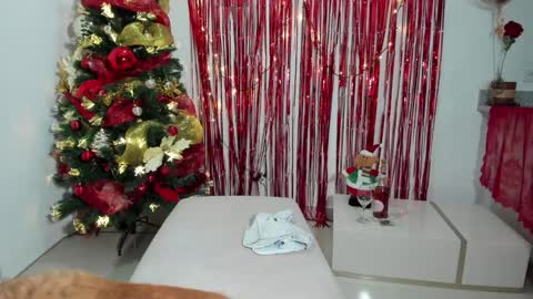 Snapshot of melanyrosse chatting on December 2024 02:10:02 AM Melany online show from December 2024 02:10:02 AM